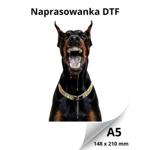 13485ff1bea33242db35e5d41b137eaa