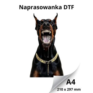 a5c150d72aee60ff81f9e6610aa896b1