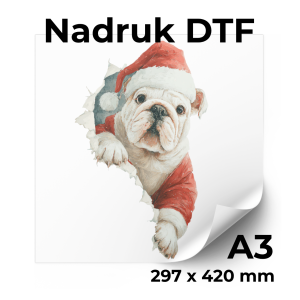 31d3dbcd2629635fdde04a093e49b3e0